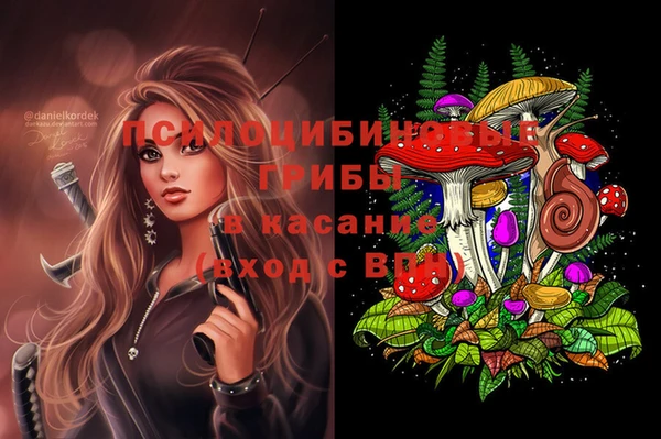 таблы Алексин