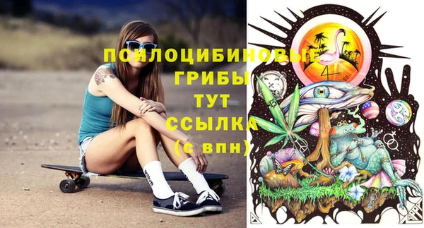таблы Алексин