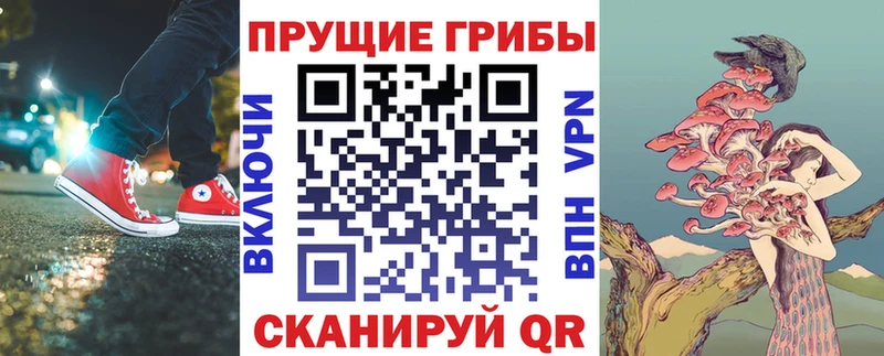 купить наркотики цена  Нефтекамск  Галлюциногенные грибы MAGIC MUSHROOMS 